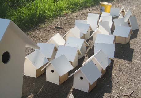 designtage1